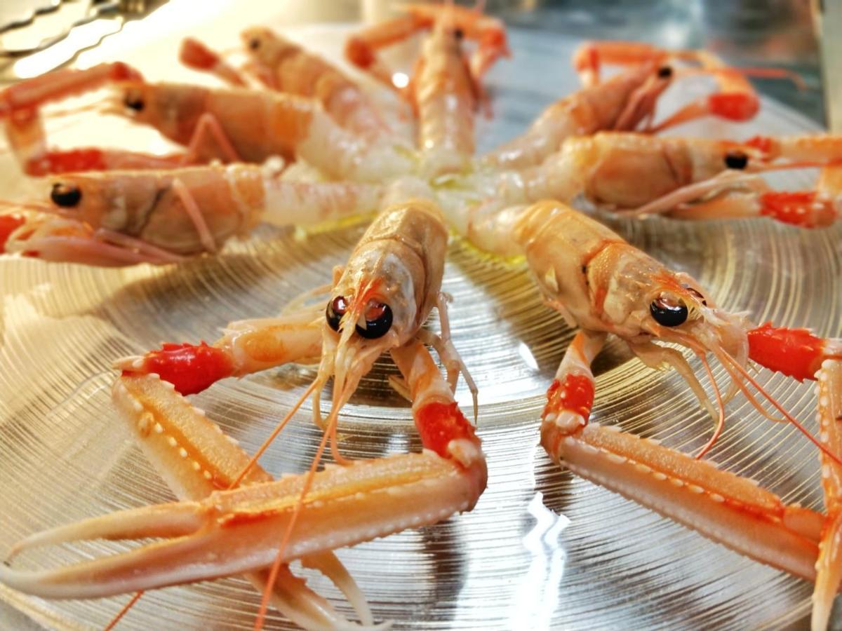 Hotel Ristorante Gran Casa Oderzo Ngoại thất bức ảnh